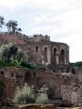 Roman Forum - Palantino-13